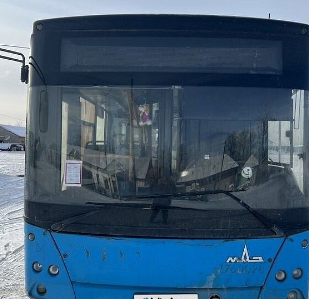 Городской автобус МАЗ 203069, 2016